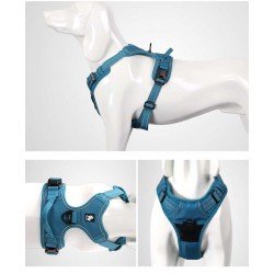 Truelove Country Training Hundsele - TLH5651