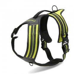 Truelove Forest No Pull Hundsele - TLH5551