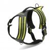 Truelove Forest No Pull Hundsele - TLH5551