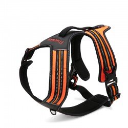 Truelove Forest No Pull Hundsele - TLH5551