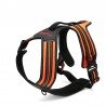 Truelove Forest No Pull Hundsele - TLH5551