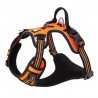 Truelove Country + no-pull sele - TLH56512