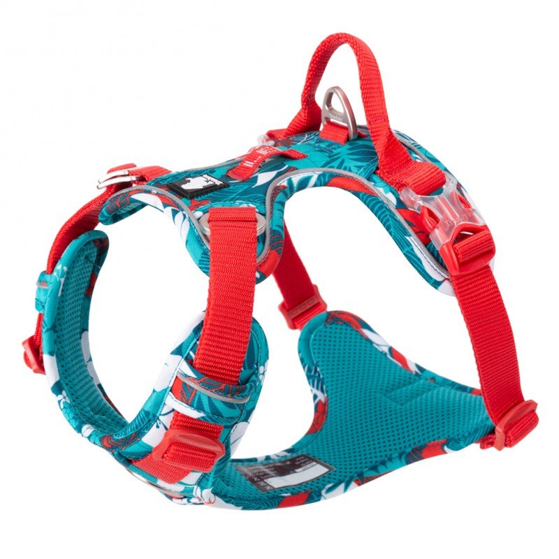 Truelove Country + Limited Edition Sele Front Range TLH5653