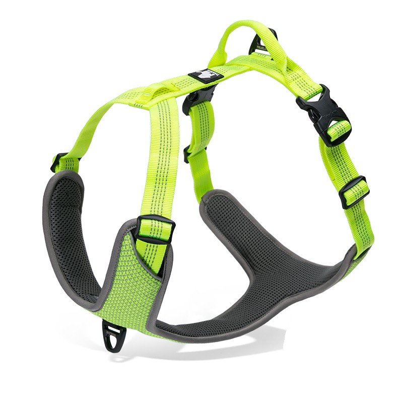 Truelove Mountain Training Hundsele - TLH6071