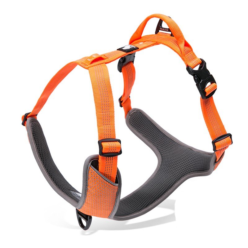 Truelove Mountain Training Hundsele - TLH6071