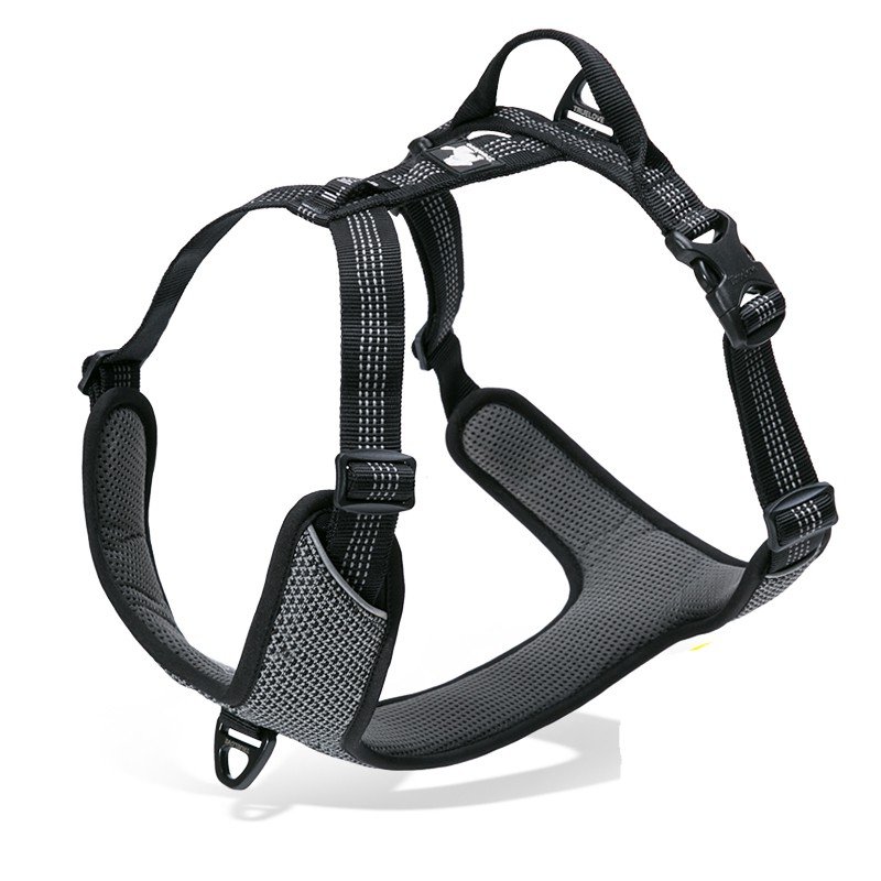 Truelove Mountain Training Hundsele - TLH6071