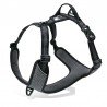 Truelove Mountain Training Hundsele - TLH6071