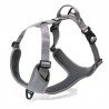 Truelove Mountain Training Hundsele - TLH6071