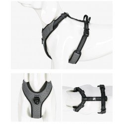 Truelove Mountain Training Hundsele - TLH6071