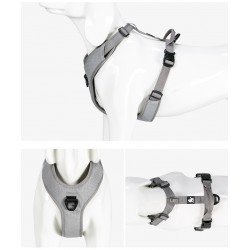 Truelove Mountain Training Hundsele - TLH6071