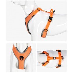 Truelove Mountain Training Hundsele - TLH6071