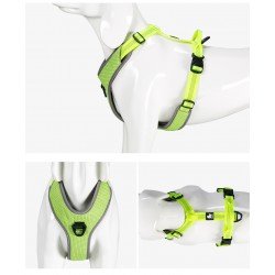 Truelove Mountain Training Hundsele - TLH6071