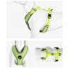 Truelove Mountain Training Hundsele - TLH6071