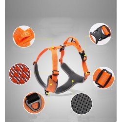 Truelove Mountain Training Hundsele - TLH6071