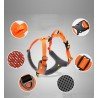 Truelove Mountain Training Hundsele - TLH6071