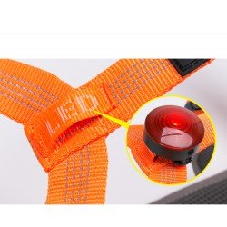 Truelove Mountain Training Hundsele - TLH6071