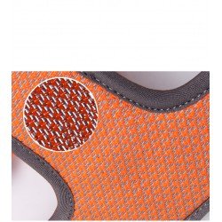 Truelove Mountain Training Hundsele - TLH6071