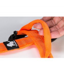 Truelove Mountain Training Hundsele - TLH6071