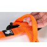 Truelove Mountain Training Hundsele - TLH6071