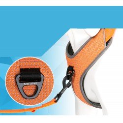 Truelove Mountain Training Hundsele - TLH6071