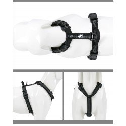 Truelove Escape Harness Hundsele - TLH6171