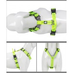 Truelove Escape Harness Hundsele - TLH6171