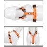 Truelove Escape Harness Hundsele - TLH6171