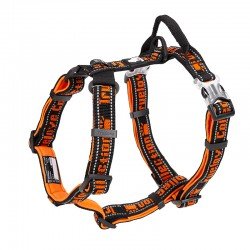 Truelove Escape + Hundsele - TLH6172