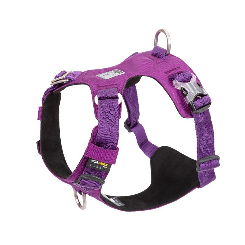 Truelove Colorado Training Hundsele - TLH6281