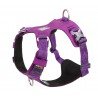 Truelove Colorado Training Hundsele - TLH6281
