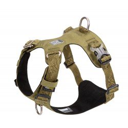 Truelove Colorado Training Hundsele - TLH6281