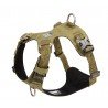 Truelove Colorado Training Hundsele - TLH6281