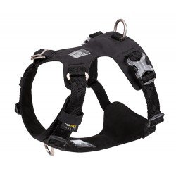 Truelove Colorado Training Hundsele - TLH6281