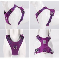 Truelove Colorado Training Hundsele - TLH6281