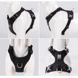 Truelove Colorado Training Hundsele - TLH6281