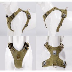 Truelove Colorado Training Hundsele - TLH6281