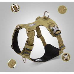 Truelove Colorado Training Hundsele - TLH6281