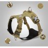 Truelove Colorado Training Hundsele - TLH6281