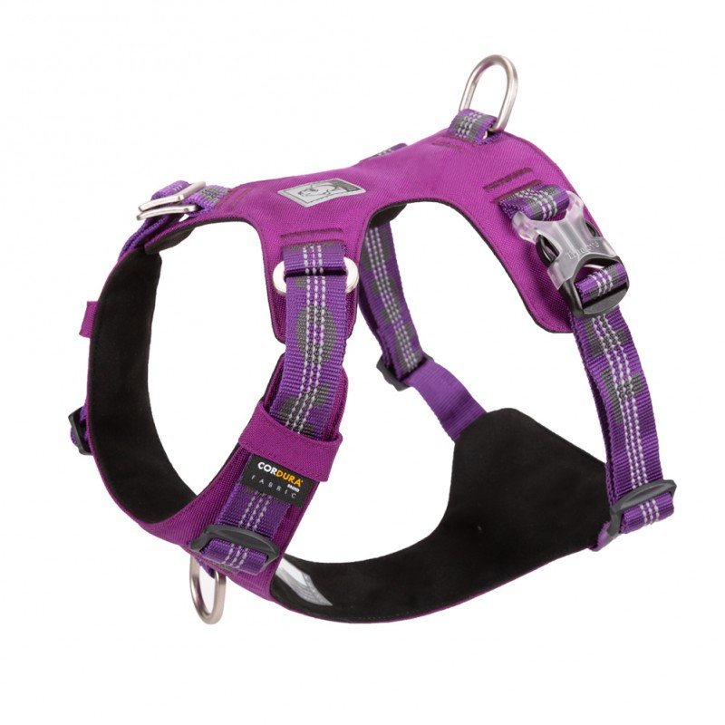Truelove Colorado + Training Hundsele - TLH6282