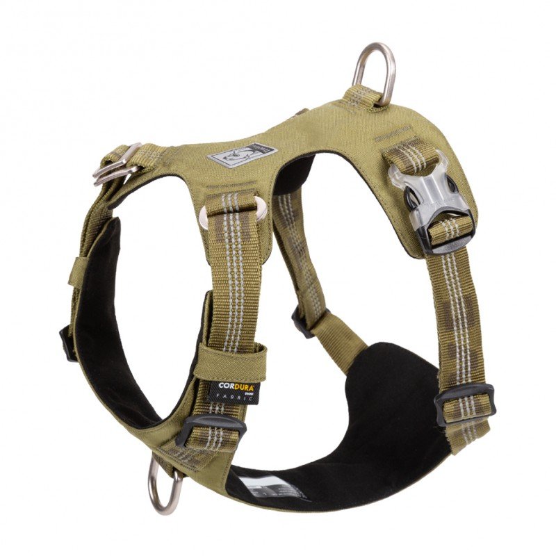 Truelove Colorado + Training Hundsele - TLH6282