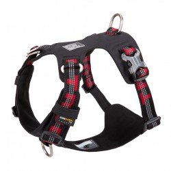 Truelove Colorado + Training Hundsele - TLH6282