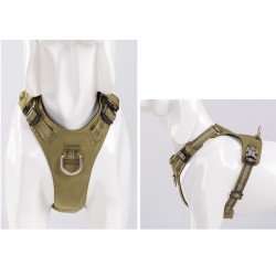 Truelove Colorado + Training Hundsele - TLH6282