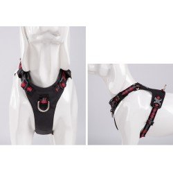 Truelove Colorado + Training Hundsele - TLH6282