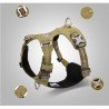 Truelove Colorado + Training Hundsele - TLH6282
