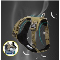 Truelove Colorado + Training Hundsele - TLH6282