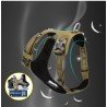 Truelove Colorado + Training Hundsele - TLH6282