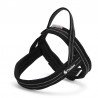 Truelove Alaska Hundsele - TLH5811