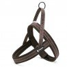 Truelove Alaska Hundsele - TLH5811