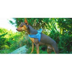 Truelove Alaska Hundsele - TLH5811