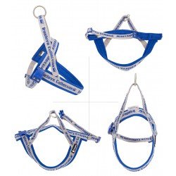 Truelove Alaska + Harness